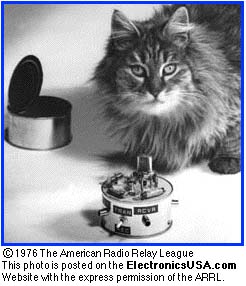 Click the Cat's Nose to Enter!